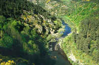 chambres d'h�tes montrond les bains forez loire